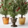 3pc Decorative Potted Faux Greenery Tree - Wondershop™ -Northlight Store GUEST 14075050 d5a6 4ff4 b83d 36bcf78b0244