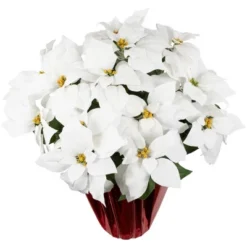 Northlight 26" White Artificial Christmas Poinsettia In Red Wrapped Base 9 Northlight 26" White Artificial Christmas Poinsettia In Red Wrapped Base -Northlight Store GUEST 4e9b6292 e847 469a b800 e0c59e7063d2