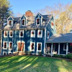 Northlight 24" Unlit Canadian Pine Artificial Christmas Wreath 9 Northlight 24" Unlit Canadian Pine Artificial Christmas Wreath -Northlight Store GUEST 6cca1dfc a278 43b6 ab26 36d525bf9ff4