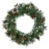 Northlight Snow Valley Pine Artificial Christmas Wreath, 24-Inch, Unlit -Northlight Store GUEST 8e101367 a27f 41dc ac02 8eb62ccf1ece