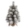 Transpac Artificial 18 In. Multicolor Christmas Snow Colorado Tree With Bagged Stand -Northlight Store GUEST a38084e0 2e20 4046 abce 4f3a67c39d93