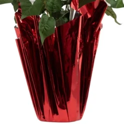 Northlight 26" White Artificial Christmas Poinsettia In Red Wrapped Base 10 Northlight 26" White Artificial Christmas Poinsettia In Red Wrapped Base -Northlight Store GUEST a5ffe649 2329 412d b16f 13139f8caa12
