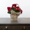 Northlight 13.5" Red Poinsettia With Pine Cones Artificial Christmas Floral Arrangement -Northlight Store GUEST a7e28d2d 6cc8 4eb1 9d09 629b11173724