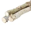 Northlight 38.5" Birch Wood Branch Bundle Christmas Display 1 Northlight 38.5" Birch Wood Branch Bundle Christmas Display -Northlight Store GUEST abe83021 40a1 4968 b0e8 a9bf85ee3d07