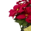 Northlight 28" Red Artificial Christmas Poinsettia With Gold Wrapped Pot -Northlight Store GUEST abe976f5 8a68 4ab8 841c bf890d3e51e7