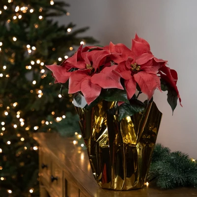 Northlight 14.5" Dark Pink Artificial Christmas Poinsettia With Gold Wrapped Base 3 Northlight 14.5" Dark Pink Artificial Christmas Poinsettia With Gold Wrapped Base